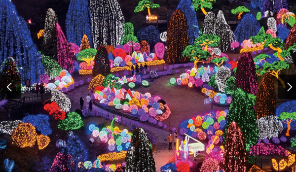 아침고요수목원 야간개장 별빛축제 정원 풍경