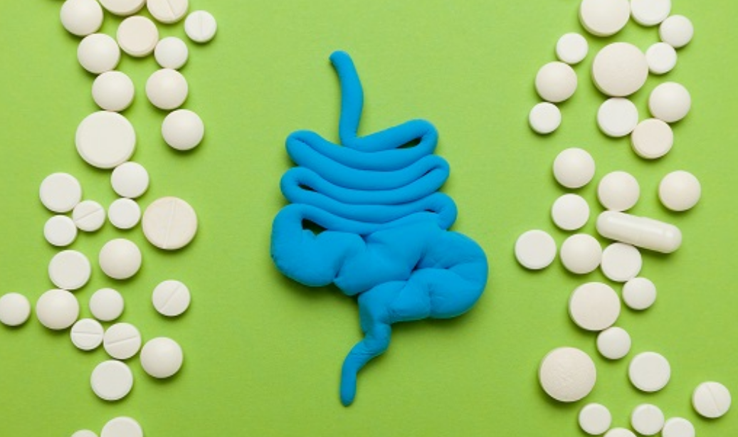 프로바이오틱스 효능