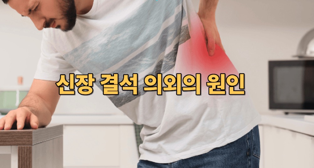 신장 결석 원인