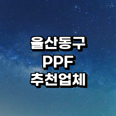 울산 동구 ppf