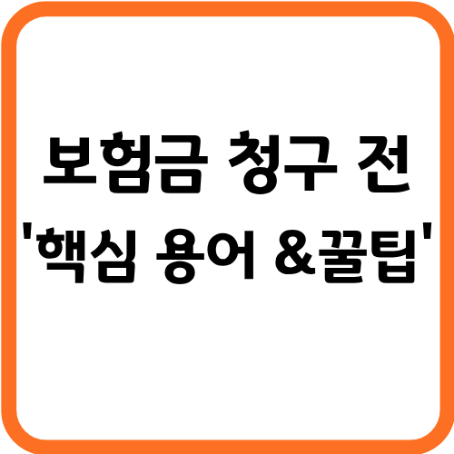 보험금 청구 전 '핵심 용어'