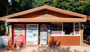 여수 유명한 카페 BEST 5곳