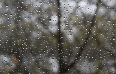 비오는날 자동차 습기 제거 방법