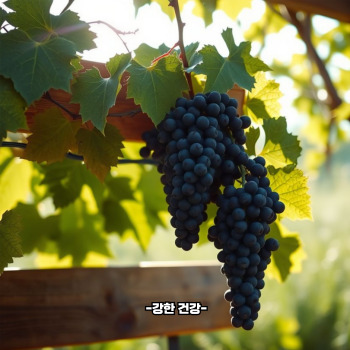 포도 부작용
