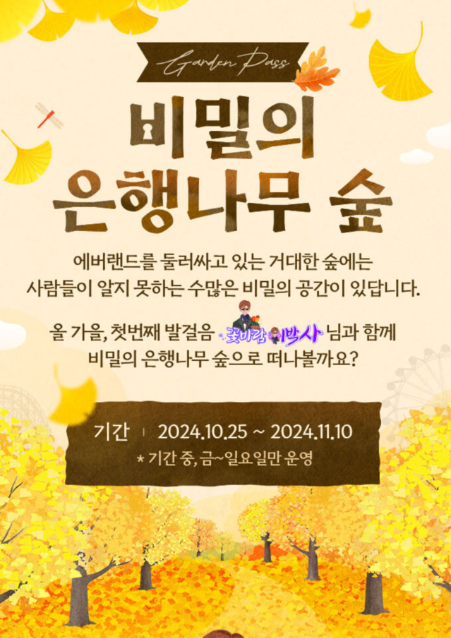 비밀의 은행나무 숲