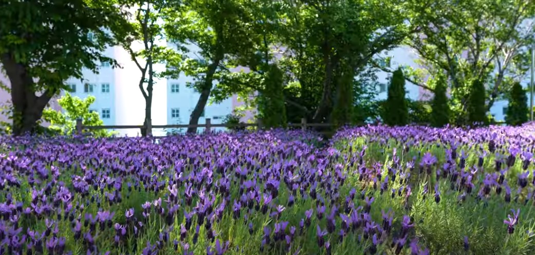 5월에 꼭 가봐야 할 적국 봄꽃 명소