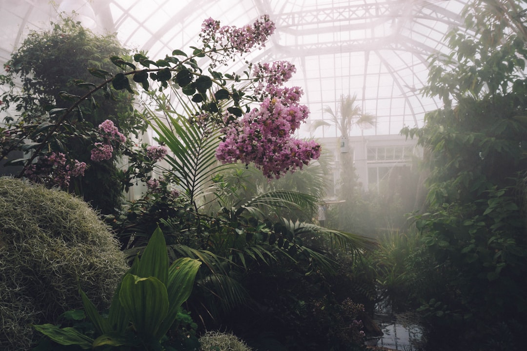 Greenhouse
