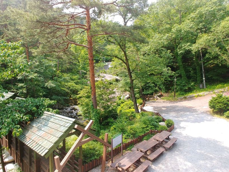 대관령자연휴양림