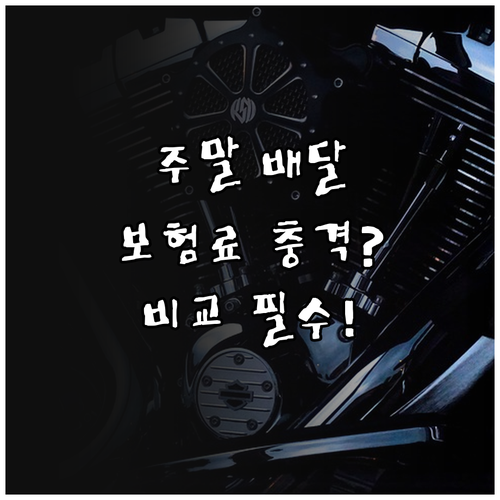 주말 배달 오토바이 보험료 비교 및 ..