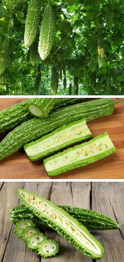 울퉁불퉁한_여주