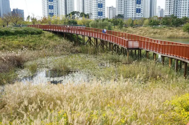 청라 호수공원