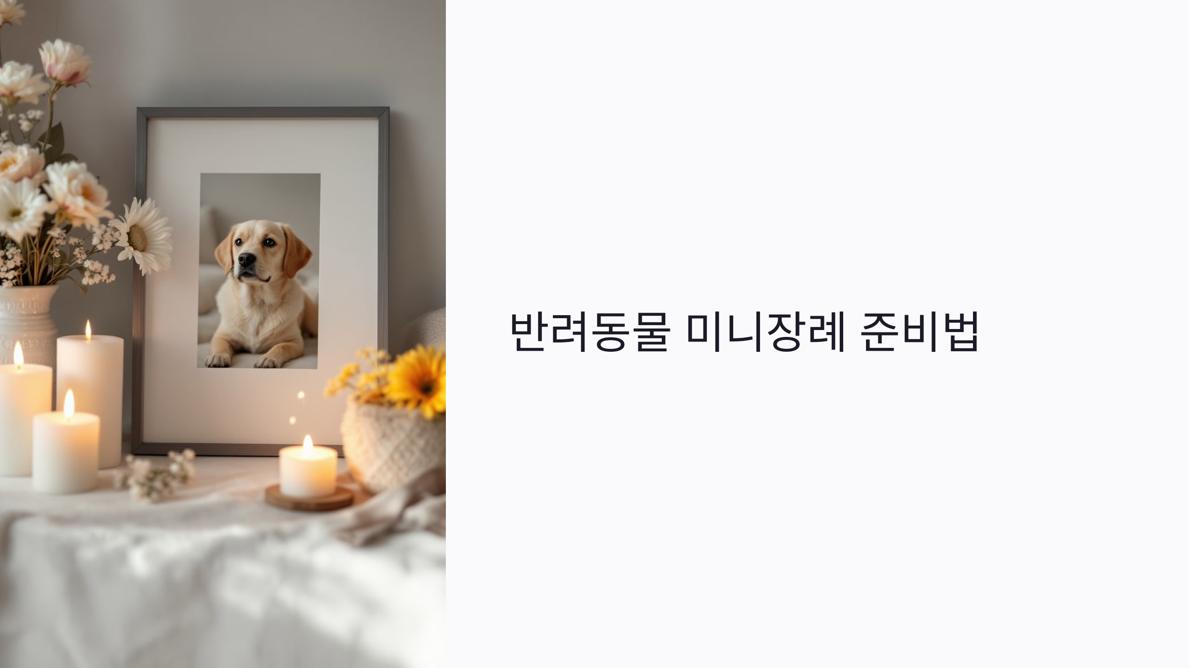반려동물 미니장례 준비법: 셀프장례부터 추모식까지 따뜻한 작별