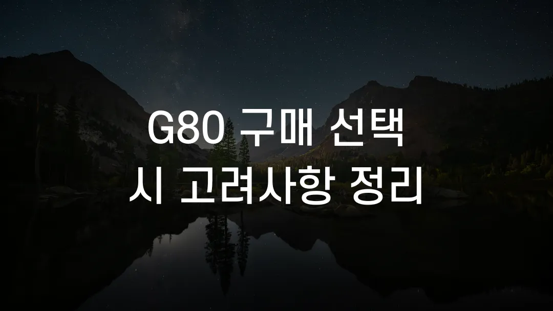 G80 구매 선택 시 고려사항 정리