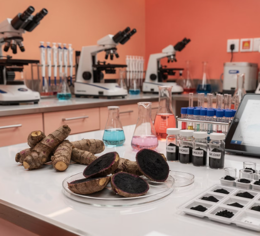 파비플로라 흑생강 효능 부작용