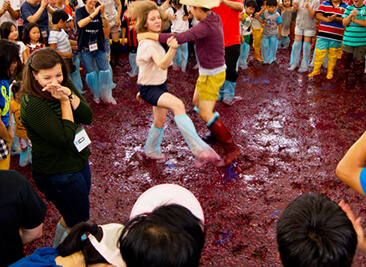 2024영동포도축제-추풍령가요제