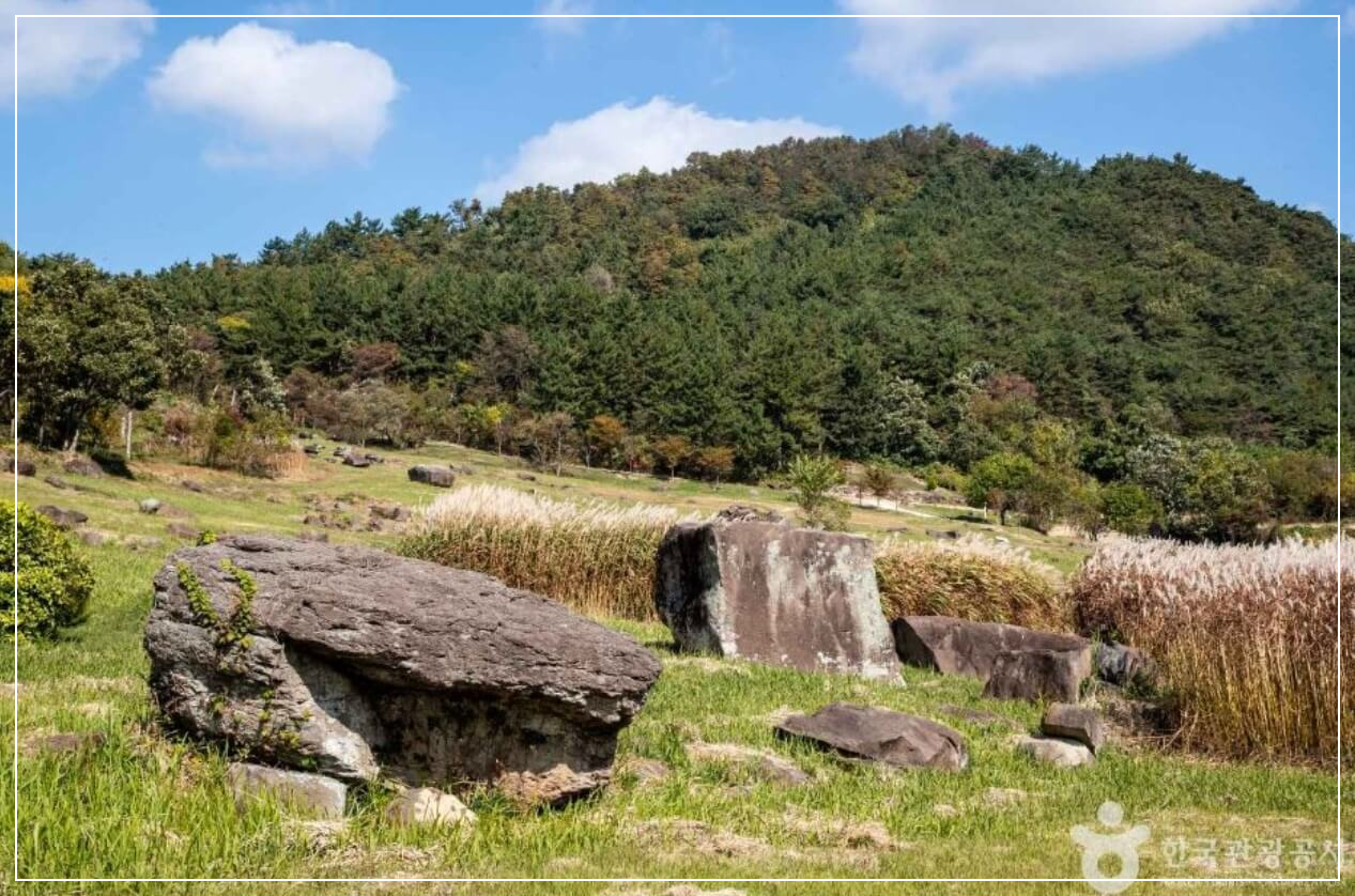 고창 가볼만한곳 베스트10 고창 고인돌 유적지&middot;박물관