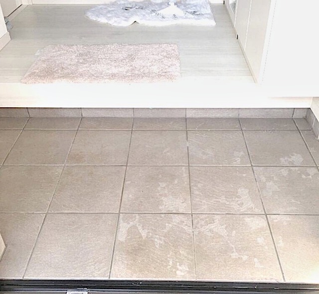 현관 바닥 타일 청소, 현관 청소하는법, 현관 바닥 청소, 생활꿀팁 팁줌 매일꿀정보