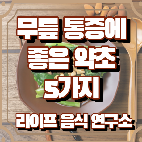 무릎관절에 좋은 약초 5가지