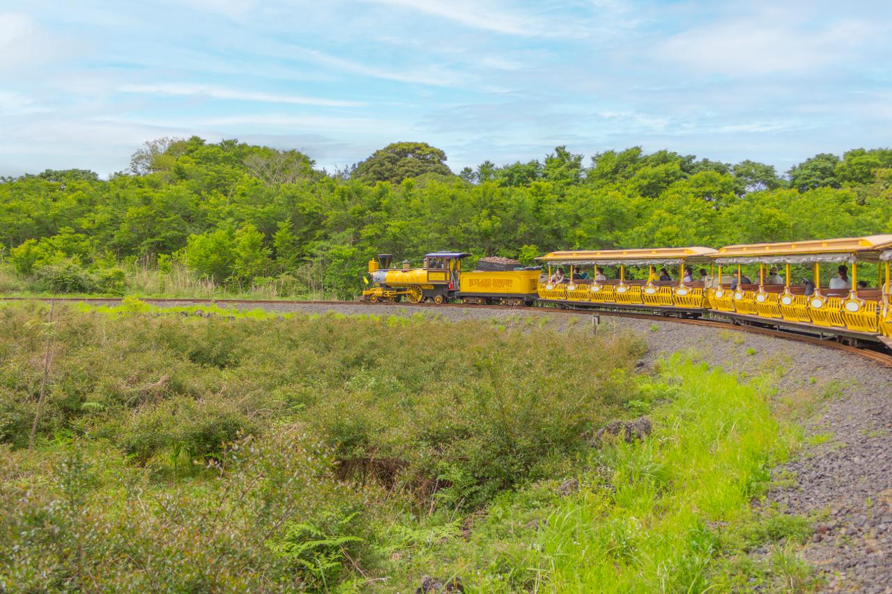 에코랜드 테마파크 관련 사진 (제주관광공사 홈페이지에서)