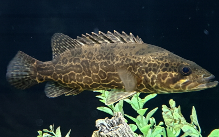 부천 자연생태공원