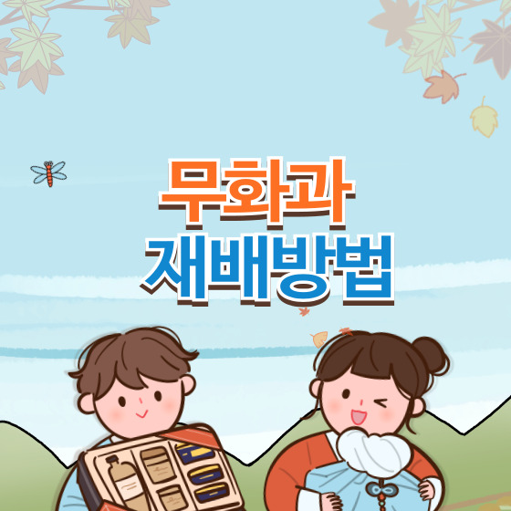 무화과 재배방법