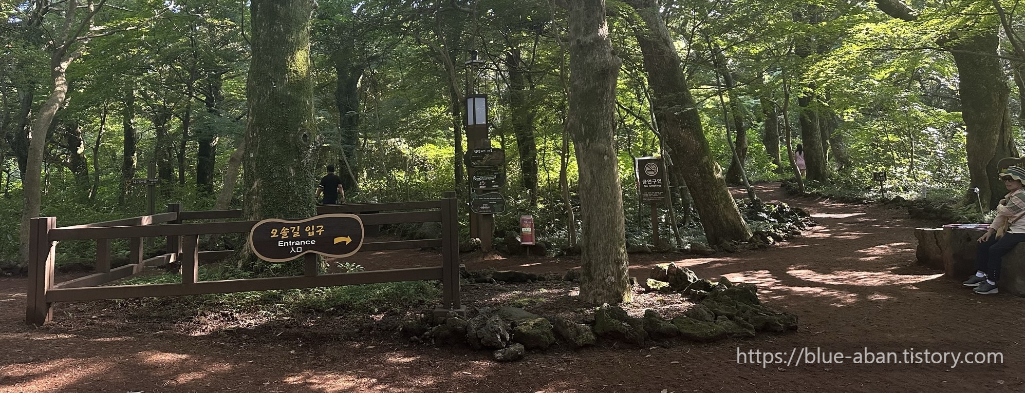 산책로 갈림길
