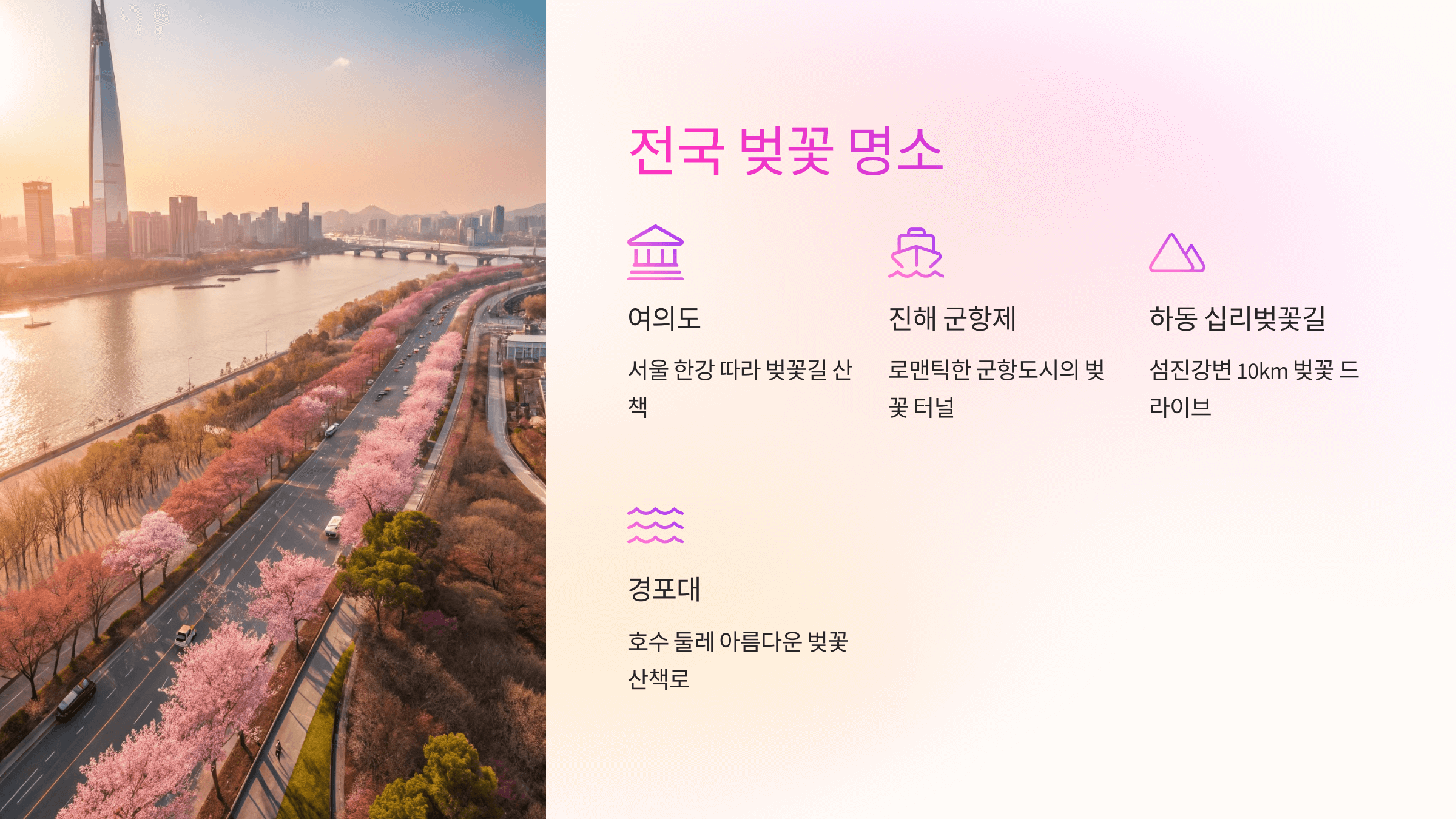 2025 벚꽃 만개 시기