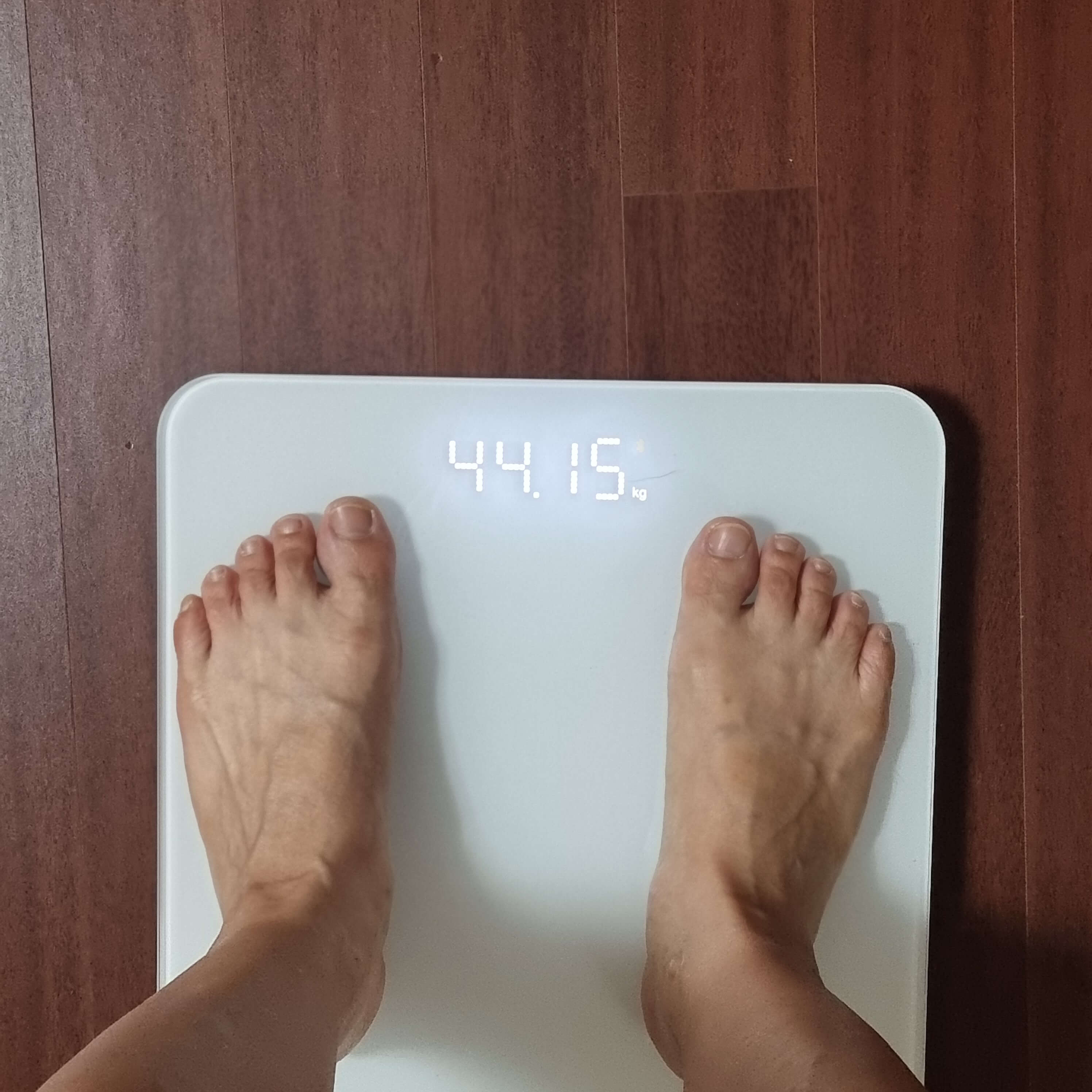 간헐적 단식 20:4 실제 경험담