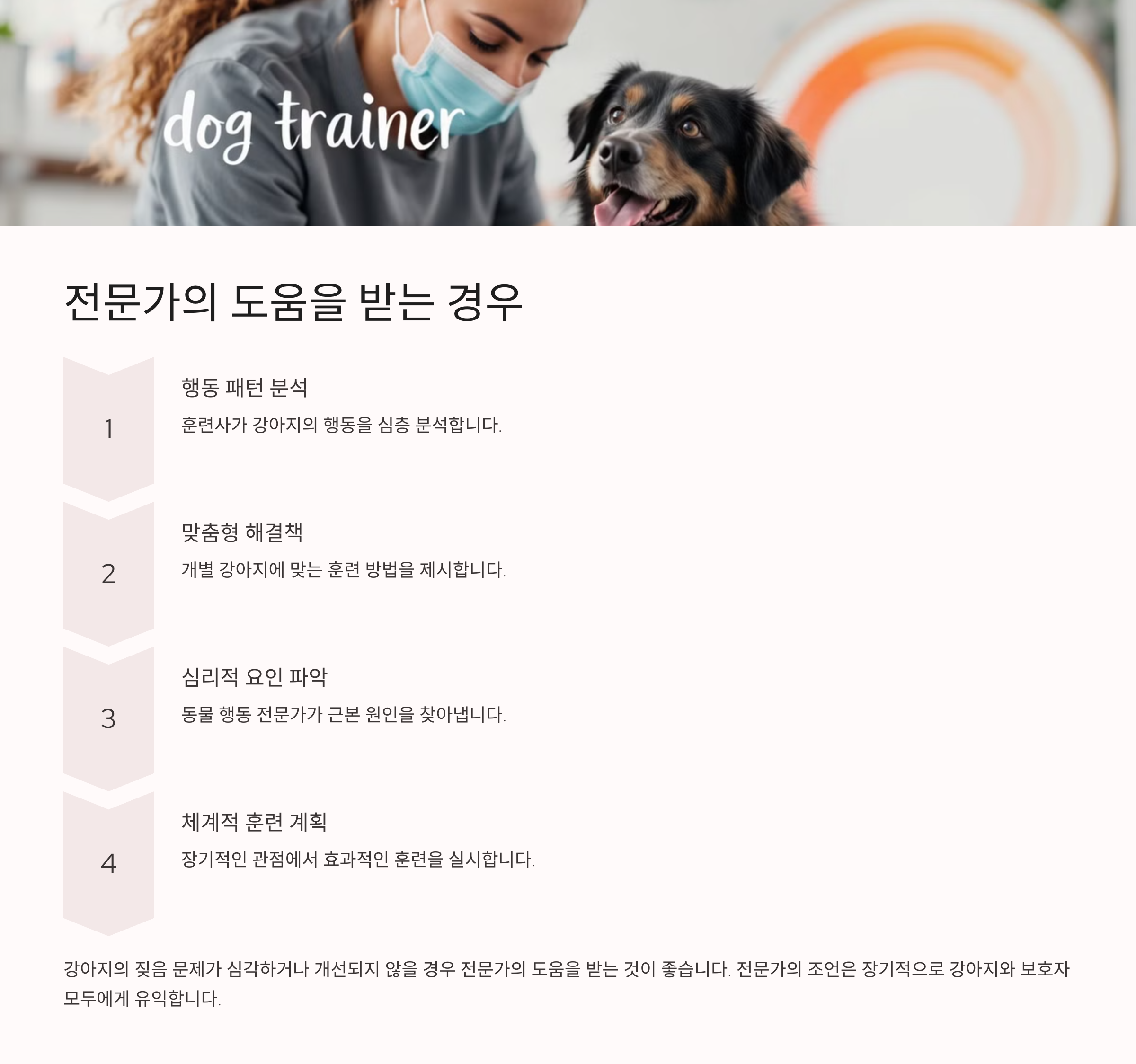 전문가의 도움을 받는 경우