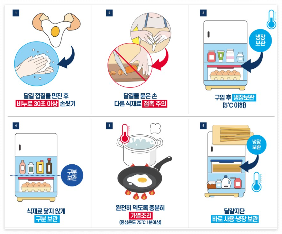 살모넬라균 예방, 계란 보관법
