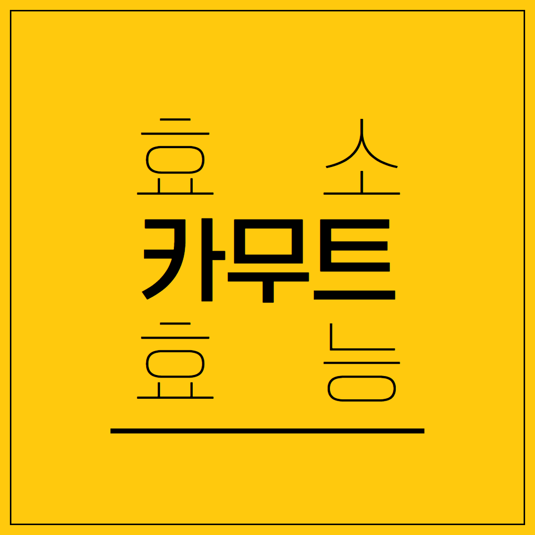 카무트 효소와 카무트 효능, 제대로 먹는 법까지 완벽 정리