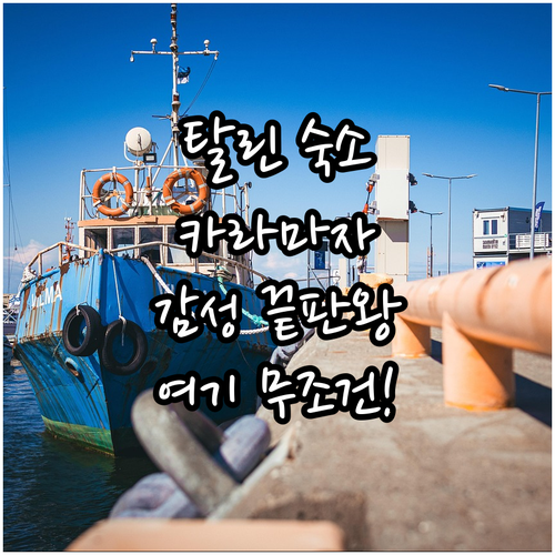 탈린 올드타운 근처 카라마자 감성 숙..