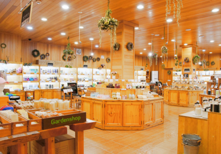 아침고요 수목원