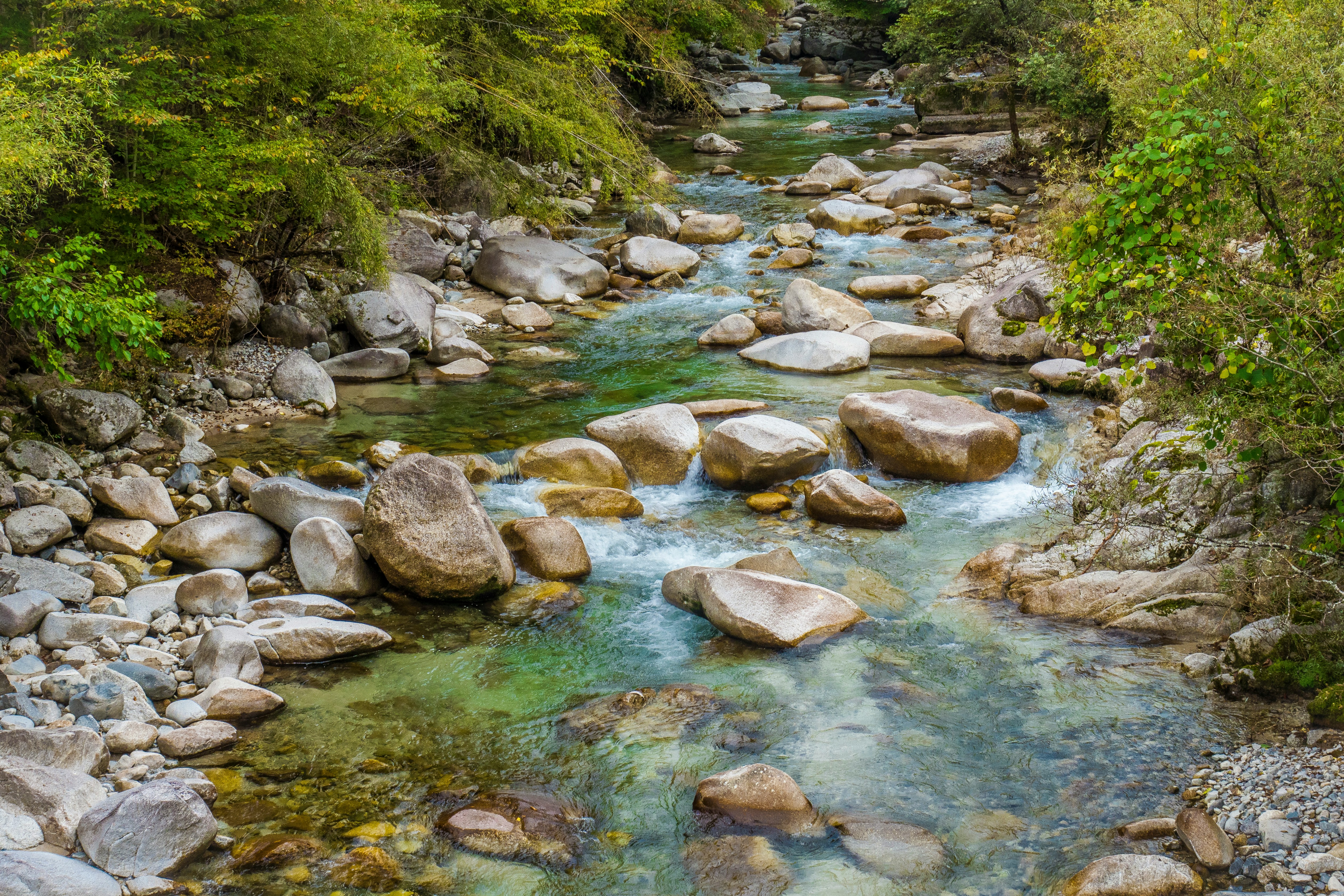 남부지역 숨은 계곡 명소 총정리