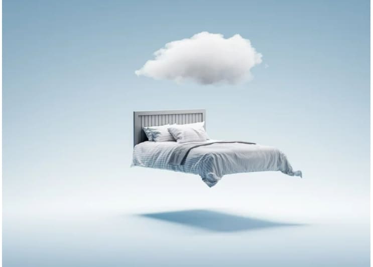 수면 단계 거친 인공 신경망... 기억상실증 예방 가능 Sleep Can Keep AI From Catastrophic Forgetting