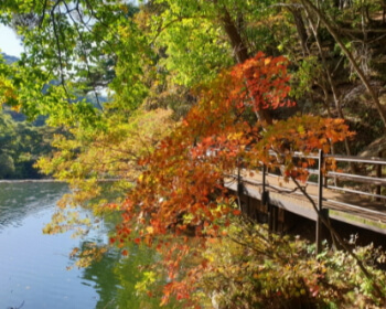 단풍 명소 속리산