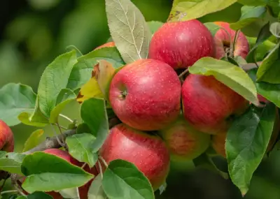전립선에 좋은 음식, 피해야할 나쁜음식