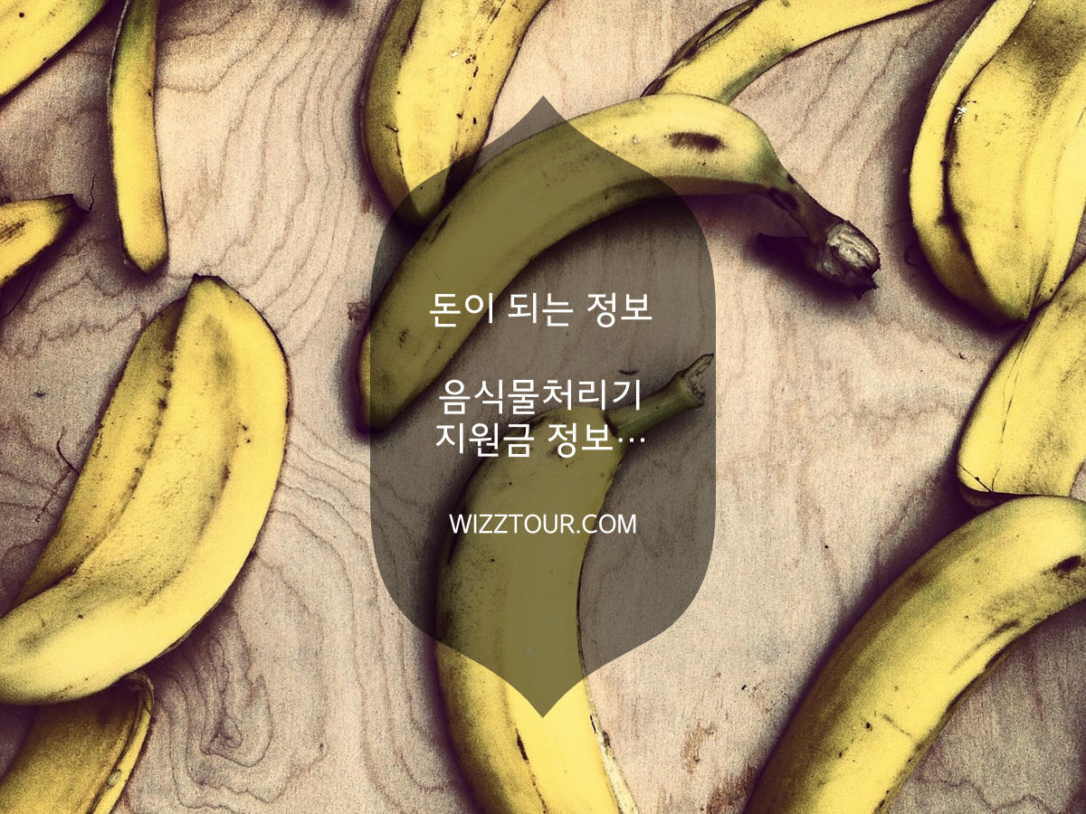 음식물처리기 지원금