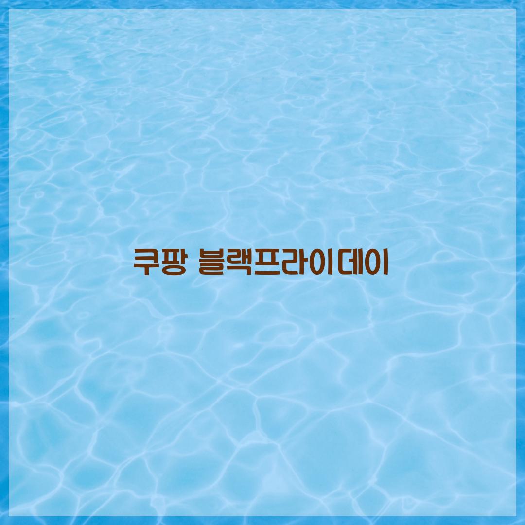 쿠팡 블랙프라이데이