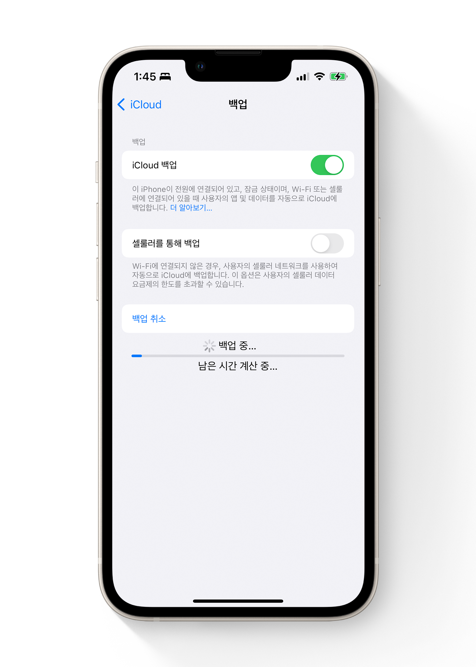iCloud 사진을 끈 후에 iCloud 백업을 켜면 기기의 사진 보관함이 iCloud 백업에 포함된다.