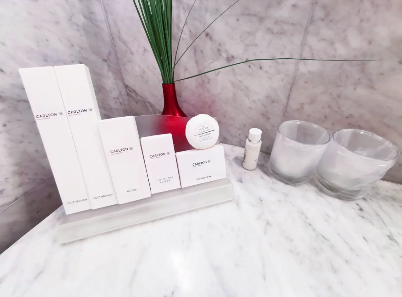 싱가포르 칼튼호텔_3