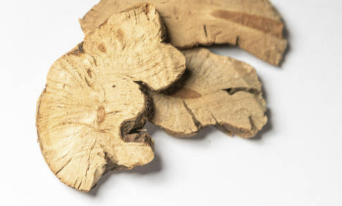 황기, 황기차의 효능 부작용 끓이는법 총정리