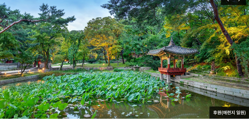 창덕궁 인정전 예약