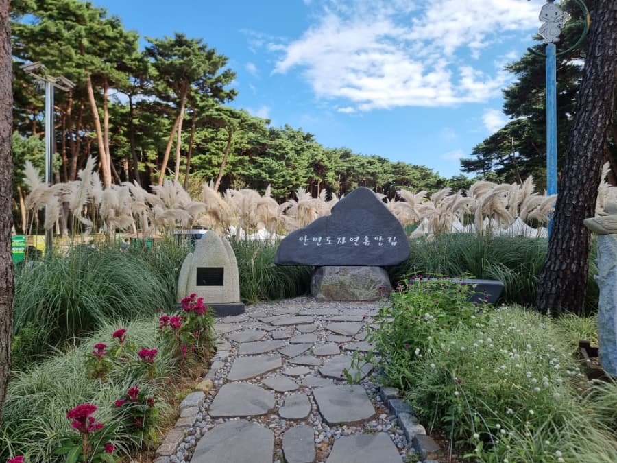 충남 태안 봄 여행지 BEST 3｜천리포수목원 목련(봄꽃)축제 주변 여행지