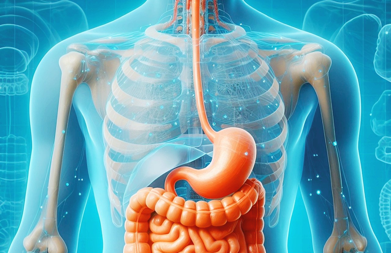 역류성 식도염 증상