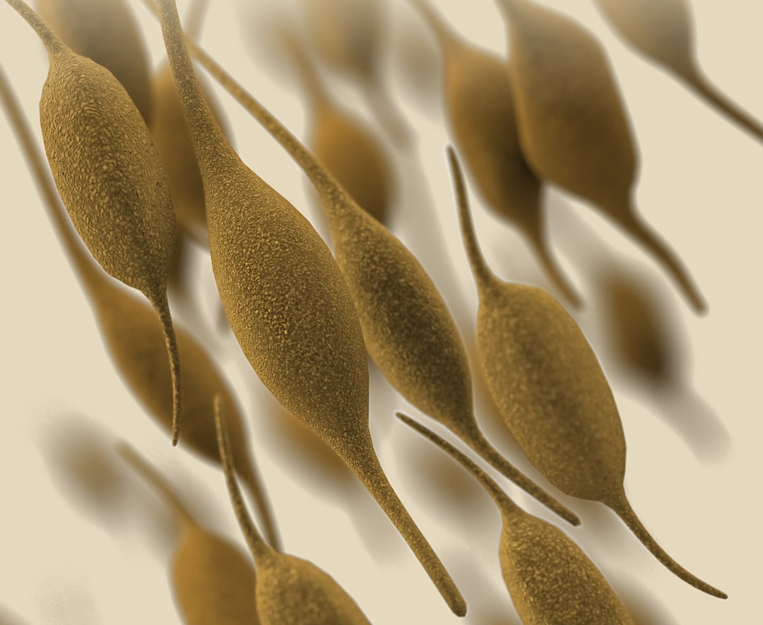 Mycoplasma