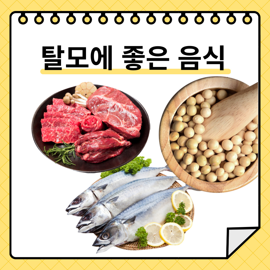 탈모에 좋은 음식