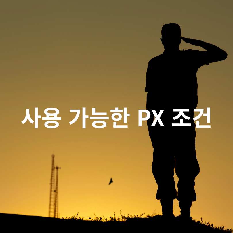 민생회복 소비쿠폰을 PX에서 가능할까?