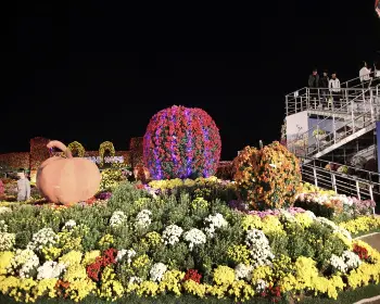 마산 국화축제_30