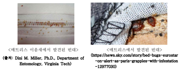 빈대 스팀 다리미